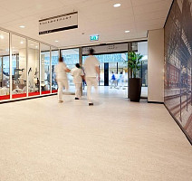 Forbo Marmoleum Decibel on Order 312035 rosato фото 3 | FLOORDEALER